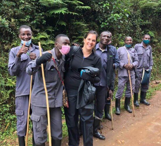 Chimpanzee Habituation