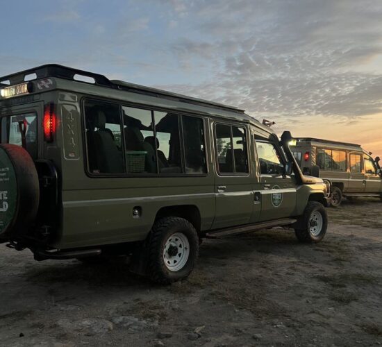 What is the Best Time to Visit the Masai Mara