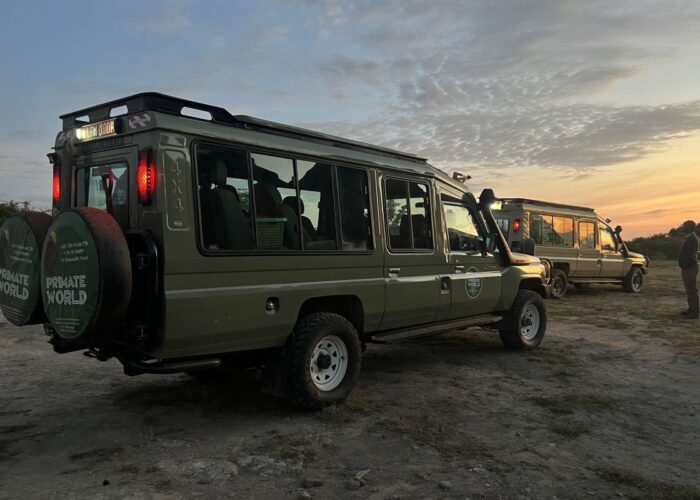 What is the Best Time to Visit the Masai Mara