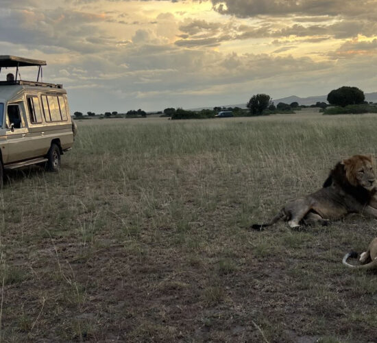 Kidepo Valley National Park