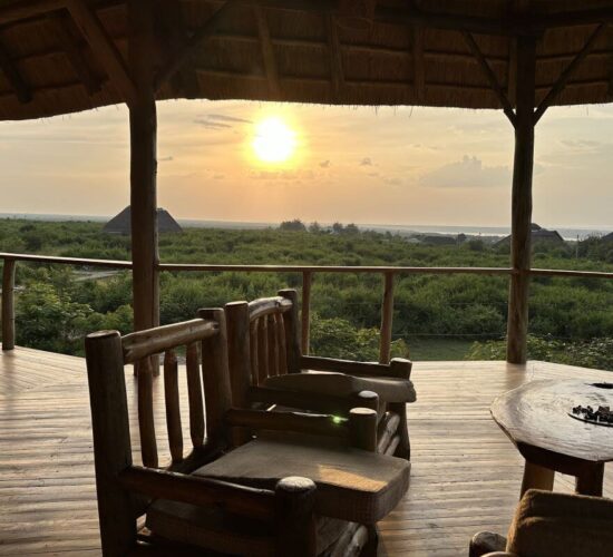Wellness and spa retreats in the rainforest