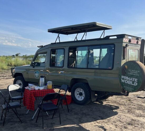 Murchison Falls National Park