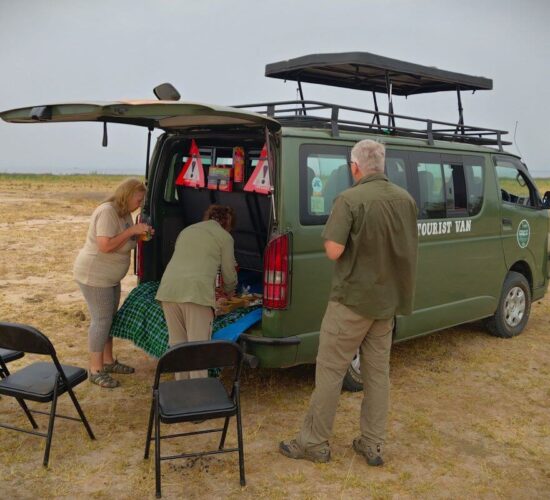 Top 13 Kenya Safari Destinations