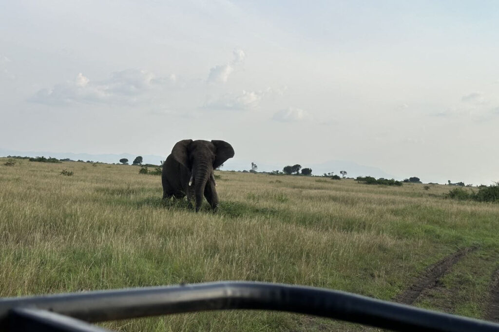 Secret Parks That Are Empty During Peak Season