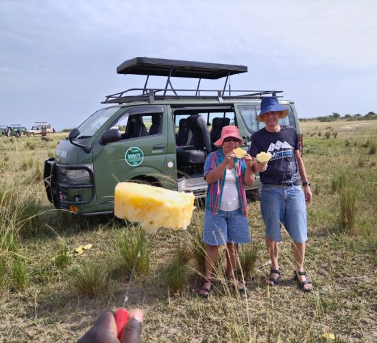 Are Serengeti Safaris Suitable for Honeymooners