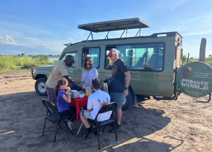 Is 2026 the Year for a Family Safari