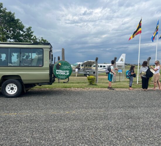 Is a Safari Suitable for Families with Children?