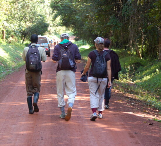 Planning Your First African Safari