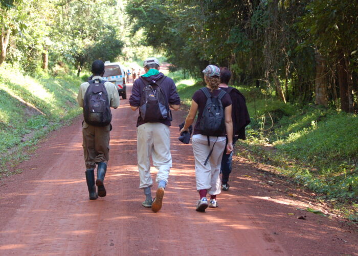 Planning Your First African Safari