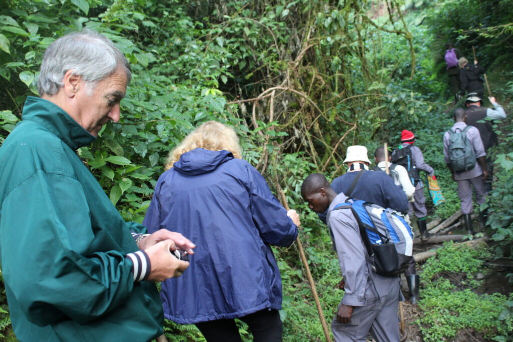 Is gorilla trekking safe for seniors?