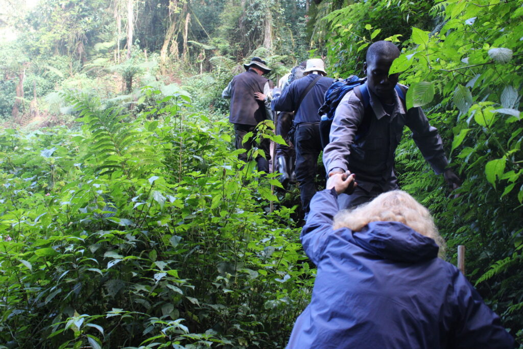 Physical Fitness Requirements for Bwindi 