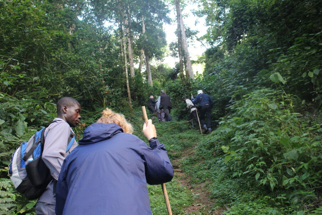 Physical Fitness Requirements for Bwindi 