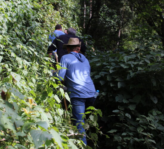 The Real-Time Guide to Rwanda Gorilla Permits for July 2026