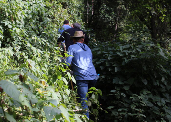 The Real-Time Guide to Rwanda Gorilla Permits for July 2026