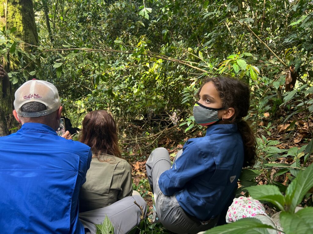 Is Gorilla Trekking Worth the Money