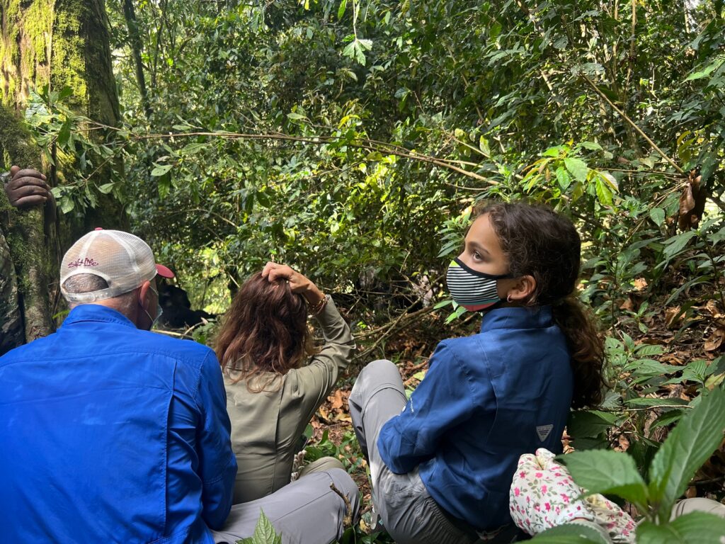 Gorilla Habituation in Uganda and Rwanda
