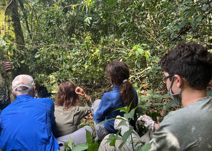 Customizable Family Safari in Uganda