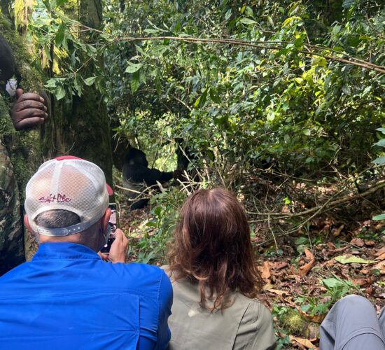 When to Visit Rwanda