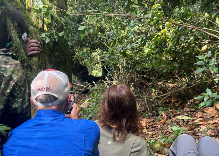 When to Visit Rwanda