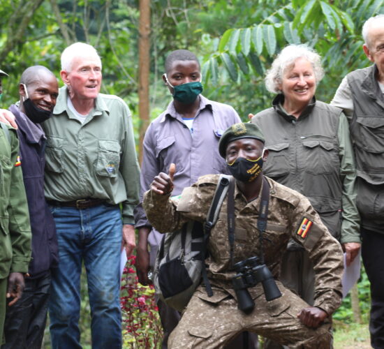 Private Gorilla Habituation