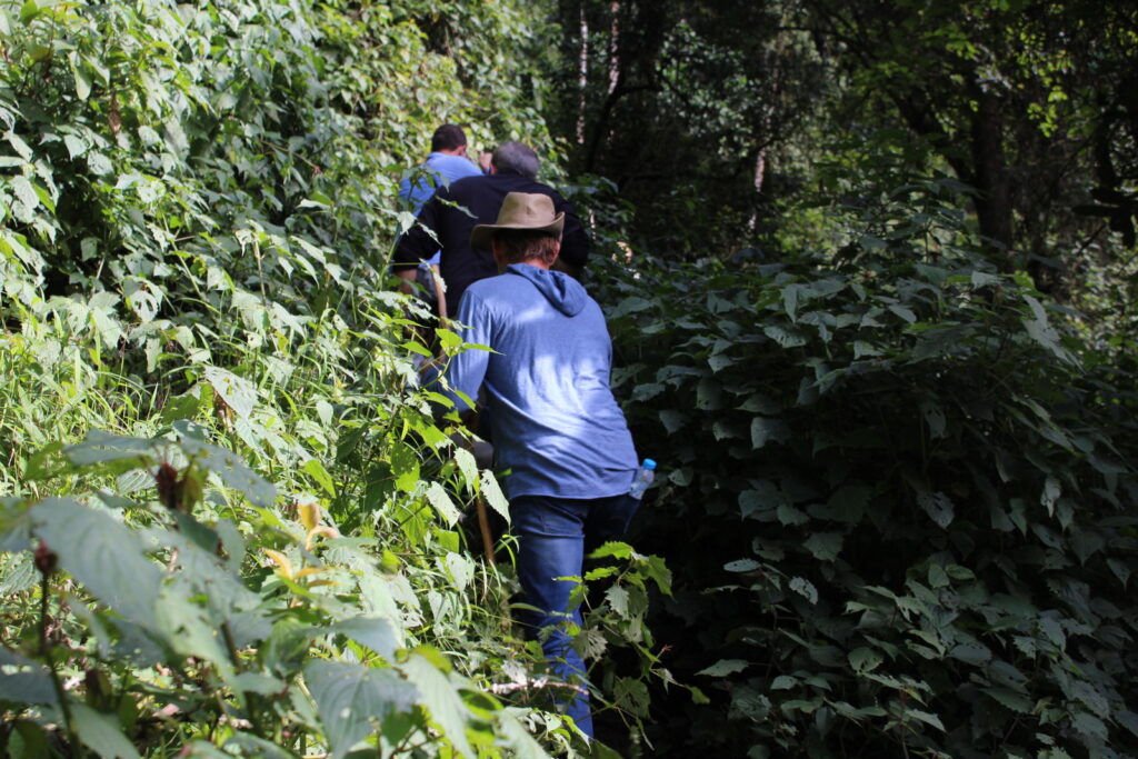 How to Secure Your Gorilla Permit