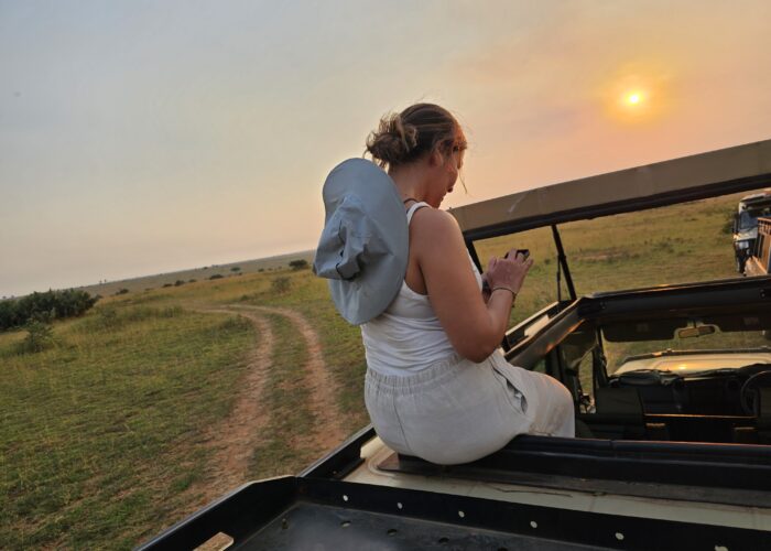 Wildlife Behavior Tips