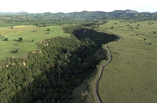 Can I Visit the Kyambura Gorge for Chimpanzee Trekking?