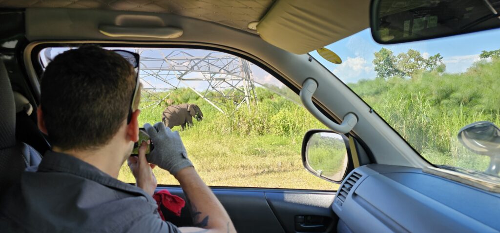 Is Solo Travel in Rwanda Logistically Viable