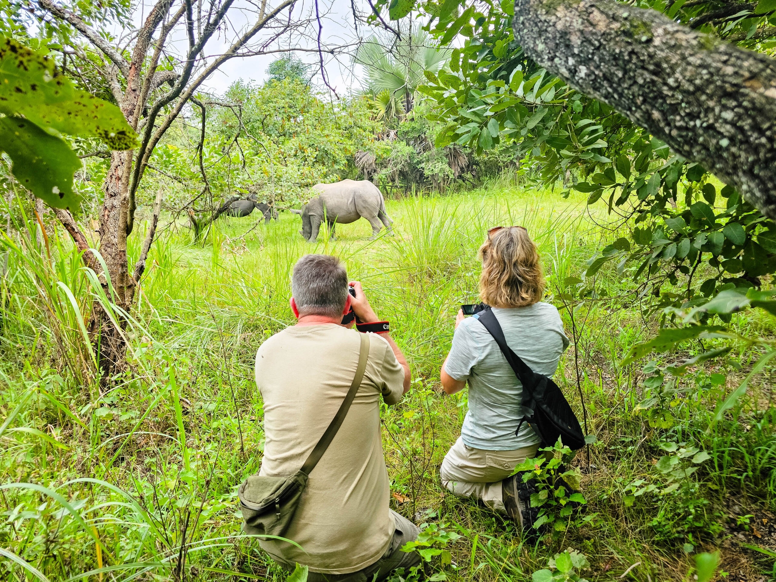 Best African Safaris for Seniors