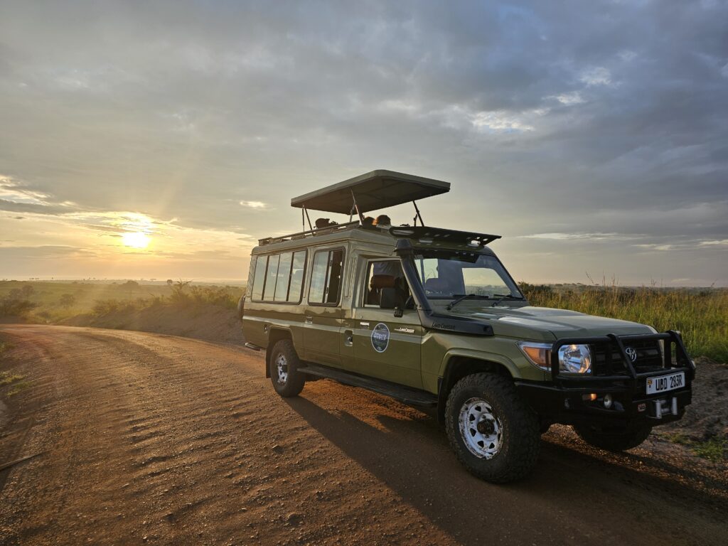 Self-Drive vs. Guided Safaris
