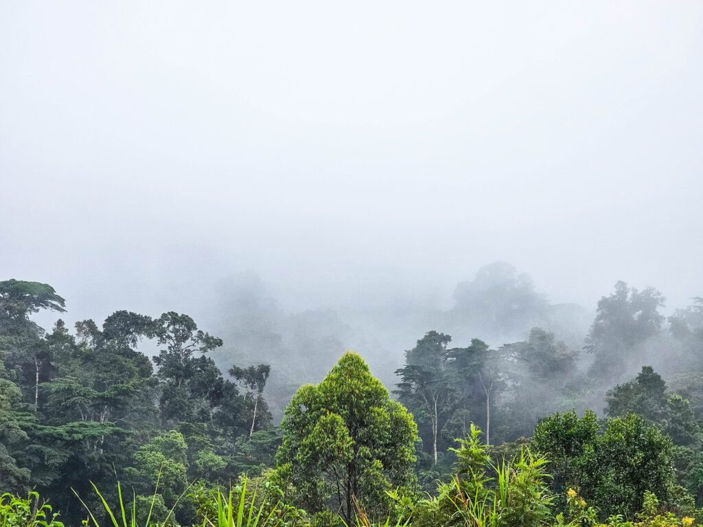 2026 Rest of Africa (ROA) Special Rates