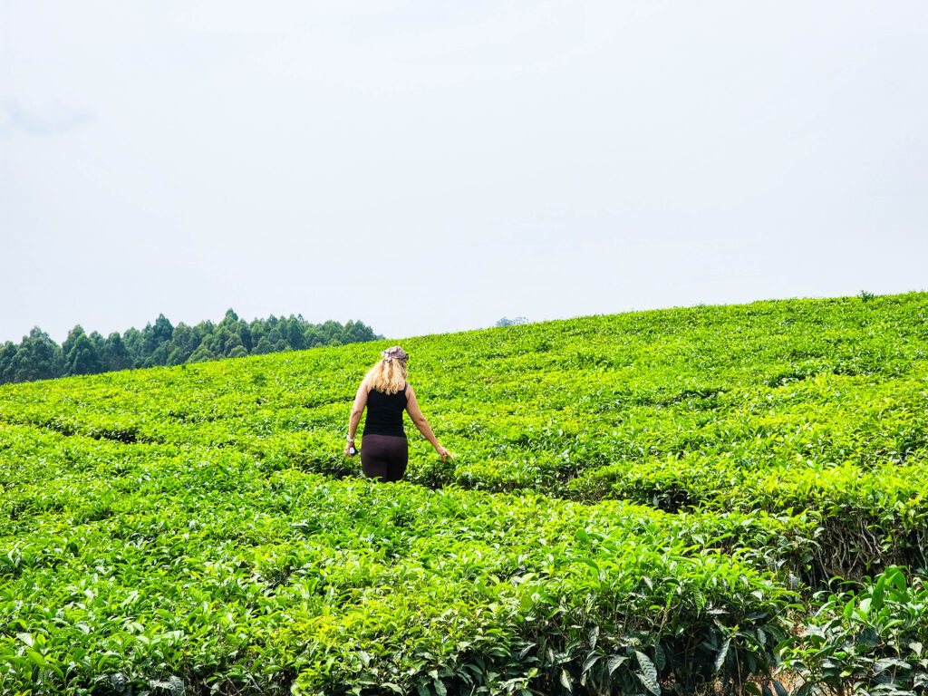 Transformative Wildlife Travel