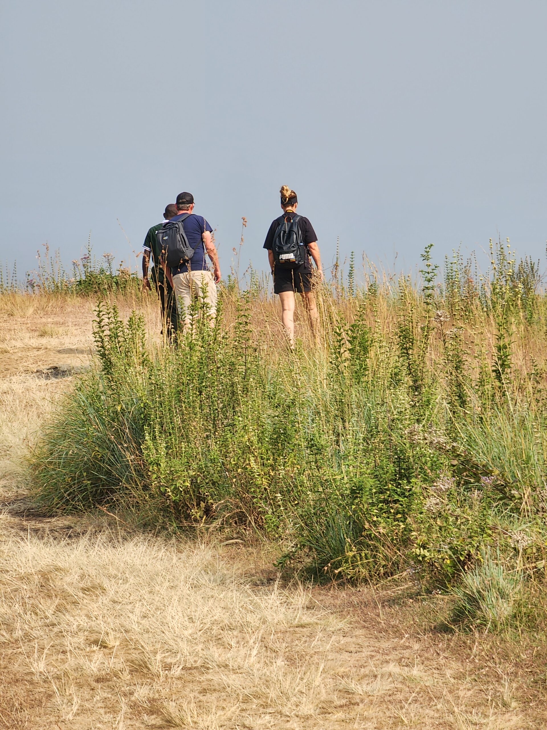 Tanzania Safari Holidays and Seasonal Travel Tips Tanzania Safari Holidays and Seasonal Travel Tips