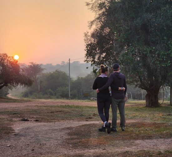 Bush Spas & Forest Therapy