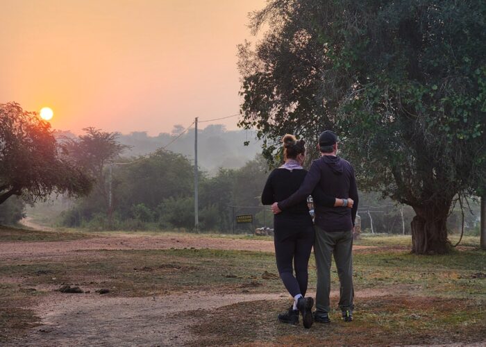 Bush Spas & Forest Therapy