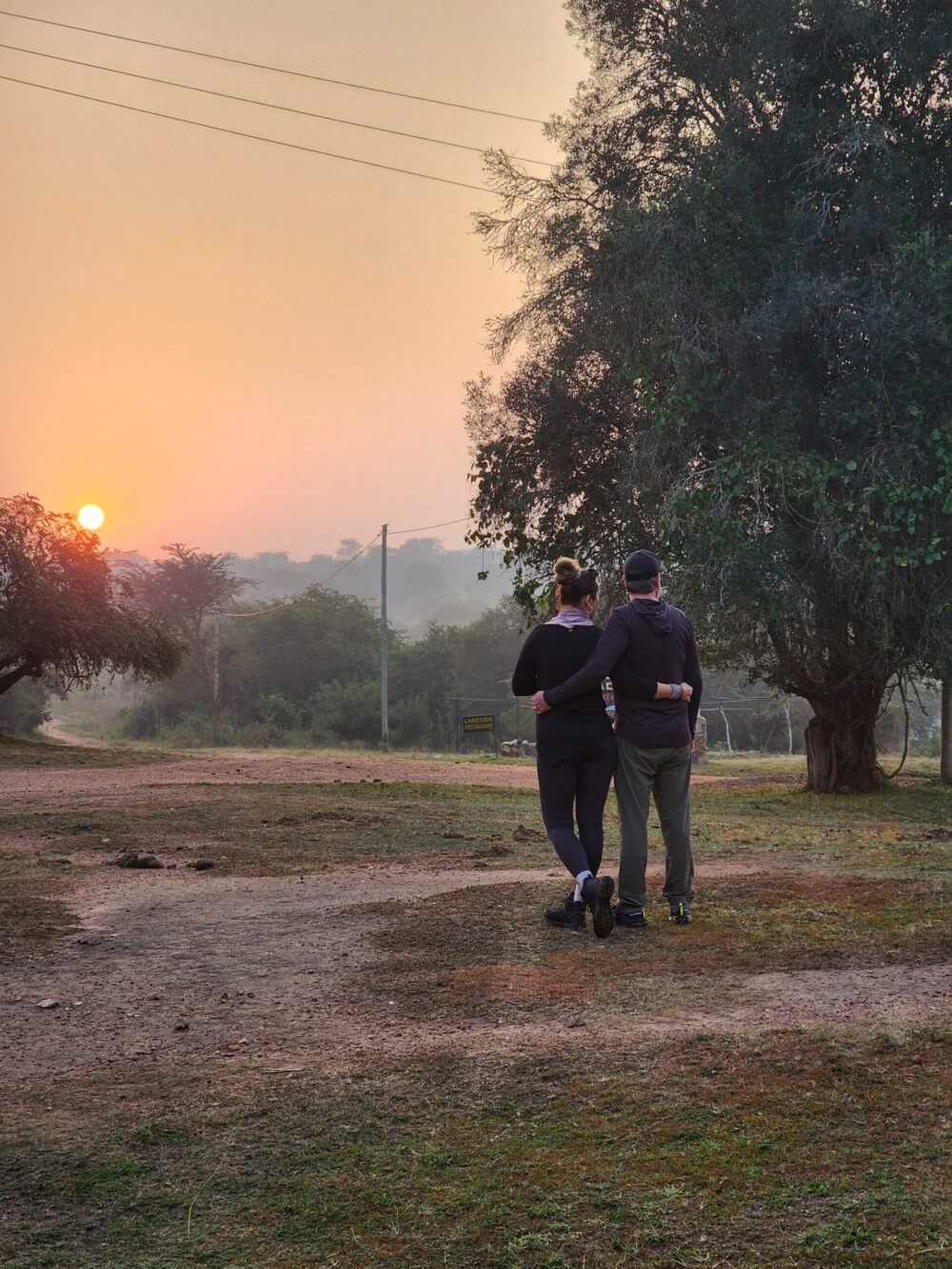 How to Make a Perfect Safari