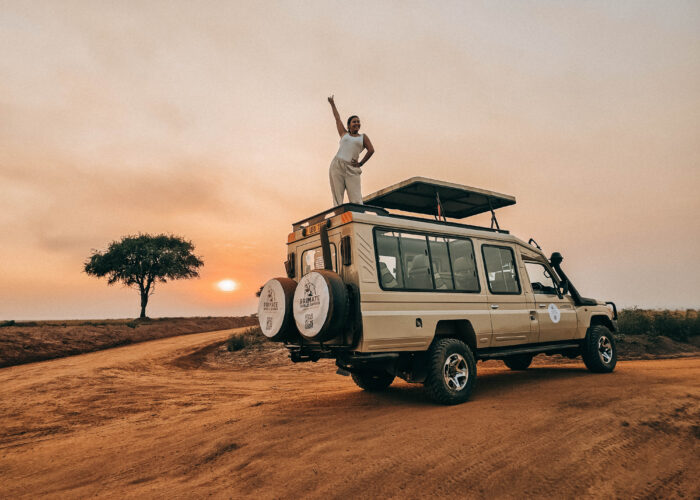 African Safari
