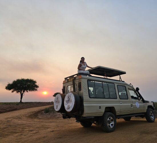 The 7-Day "Primate & Plains" Itinerary