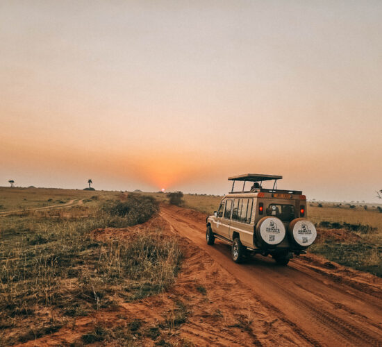 Fly-Camping in the Serengeti