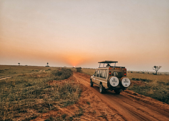 Fly-Camping in the Serengeti