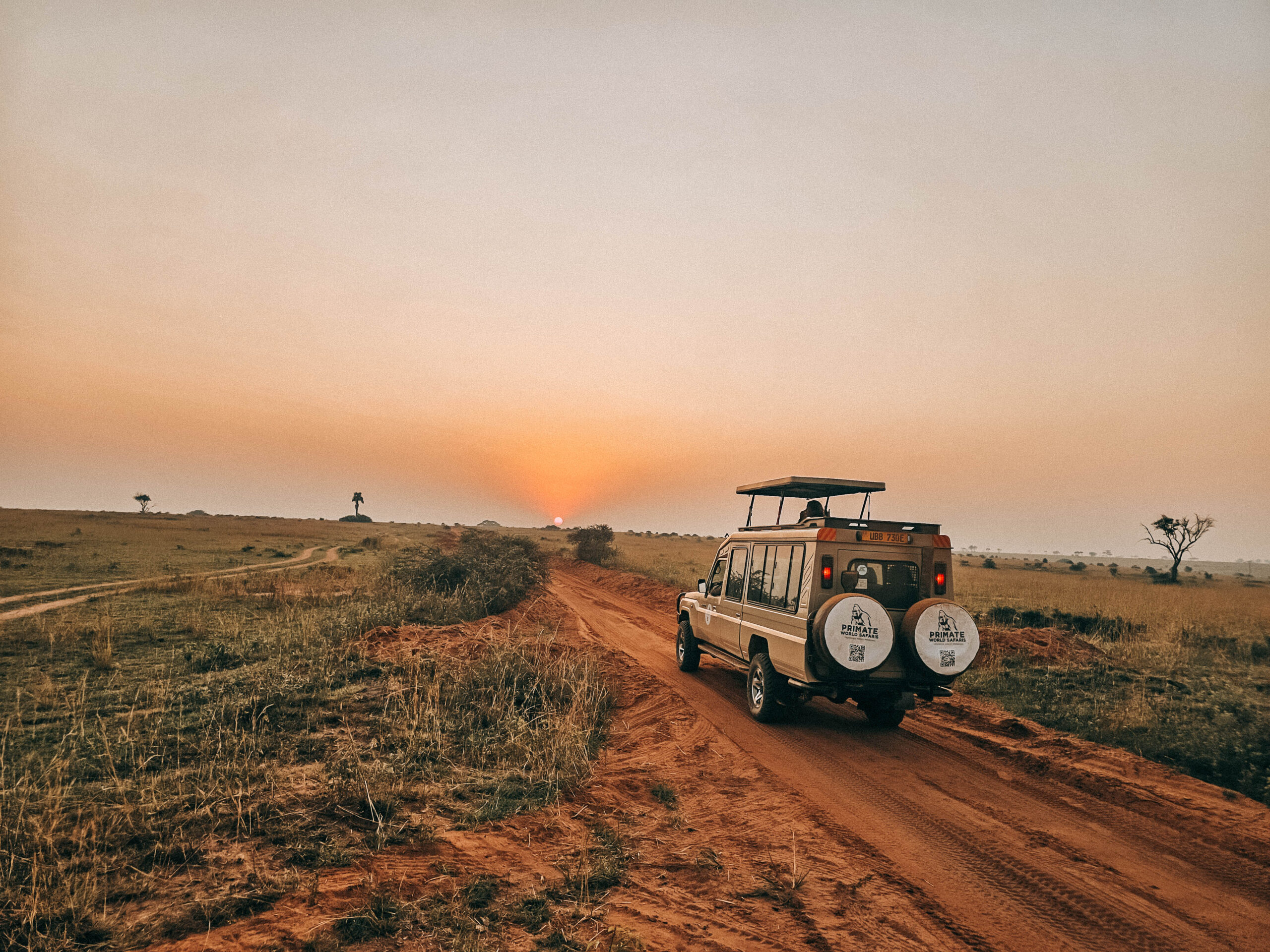 Why a Safari is an Ultimate Travel Experience