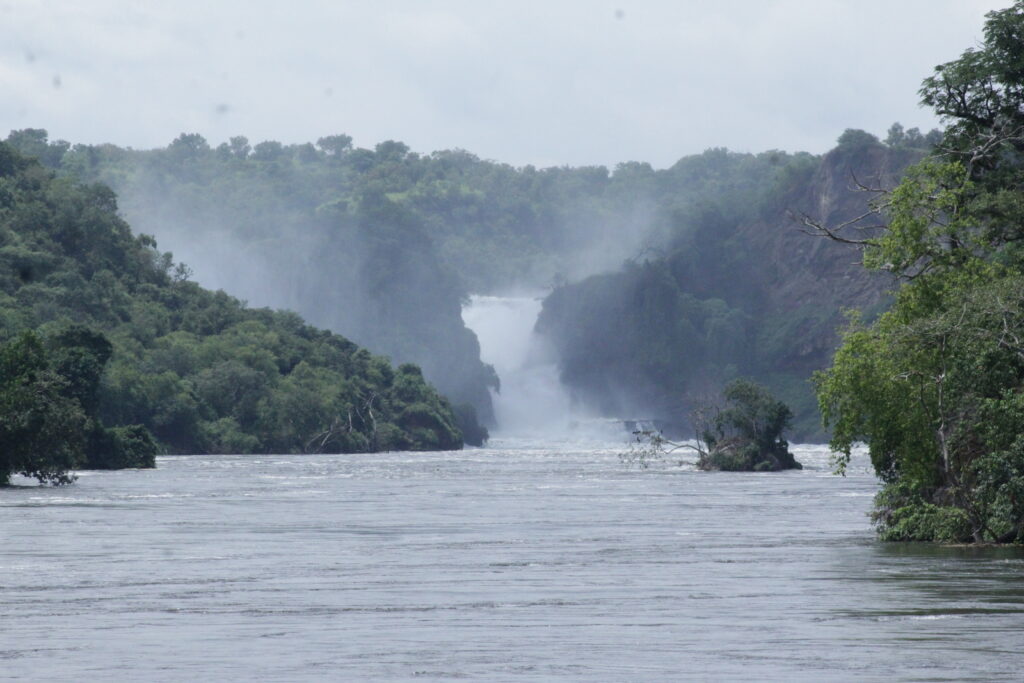 Bush Spas & Forest Therapy