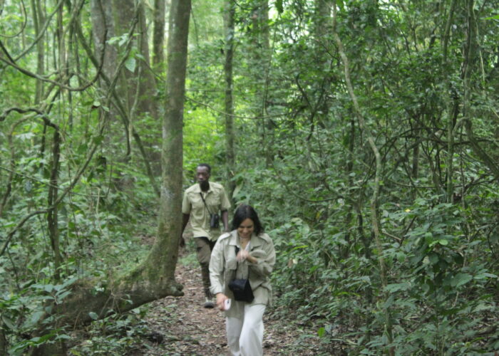 Forest Bathing and Bush Yoga