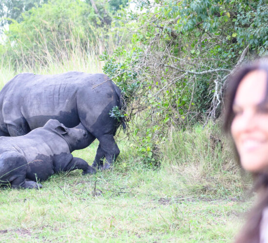 Solo Traveler Guides