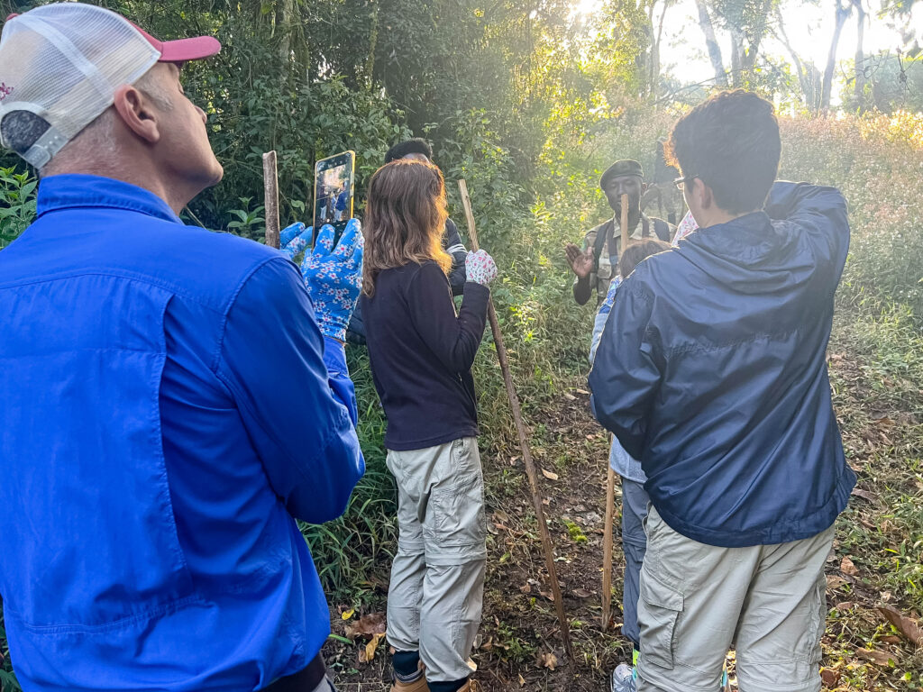 Customizable Family Safari in Uganda