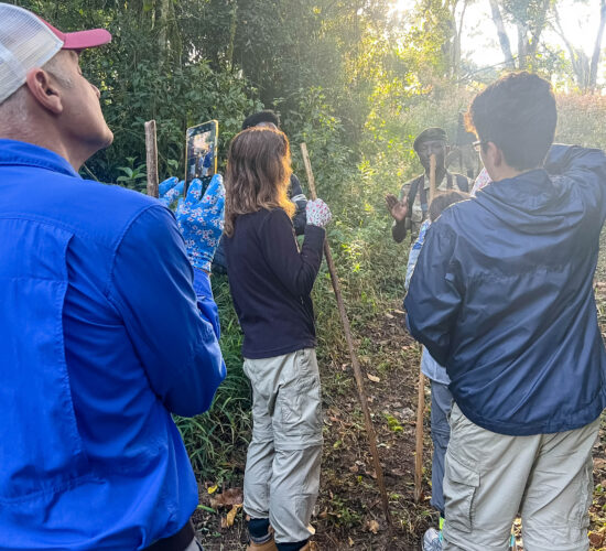 Gorilla Trekking Cost