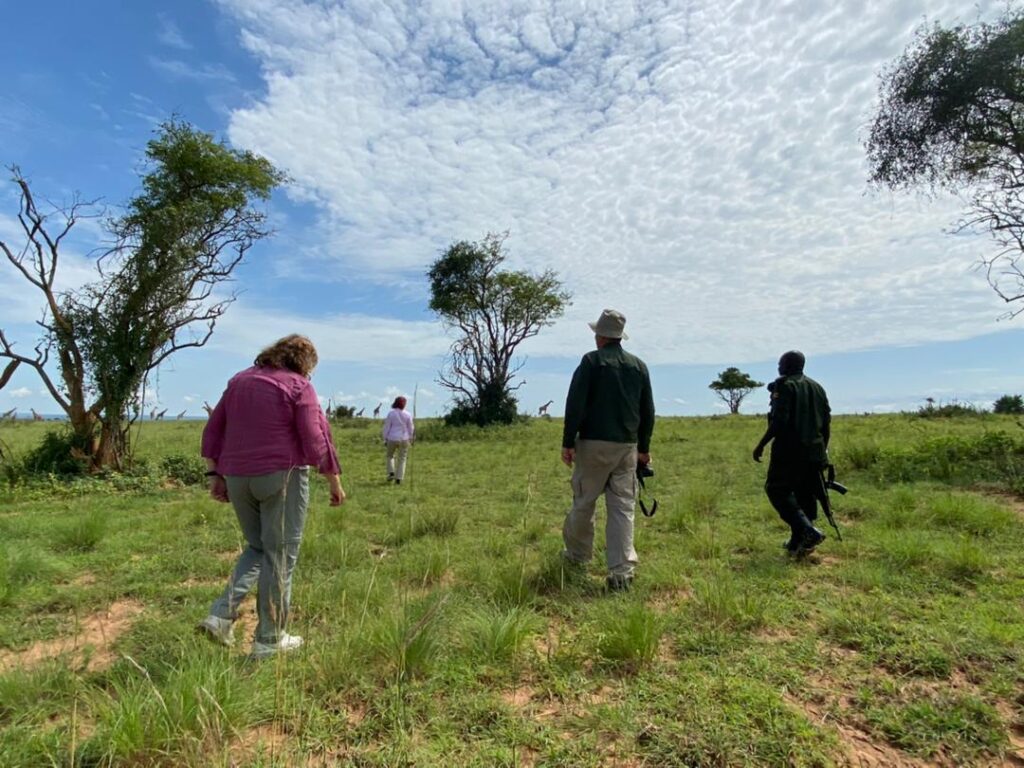 Bush Spas & Forest Therapy