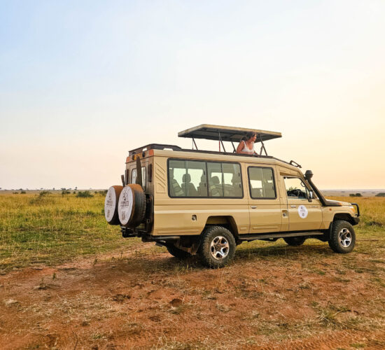 Safari Car Rental Uganda