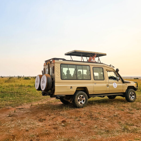 Black Rhino Tracking Experience