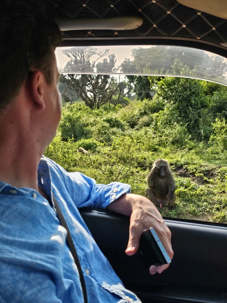 Guest Stories, Safari Journals